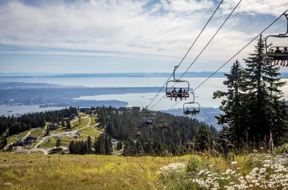Grouse Mountain: Summer Entry Ticket + Free Downtown Shuttle | Vancouver