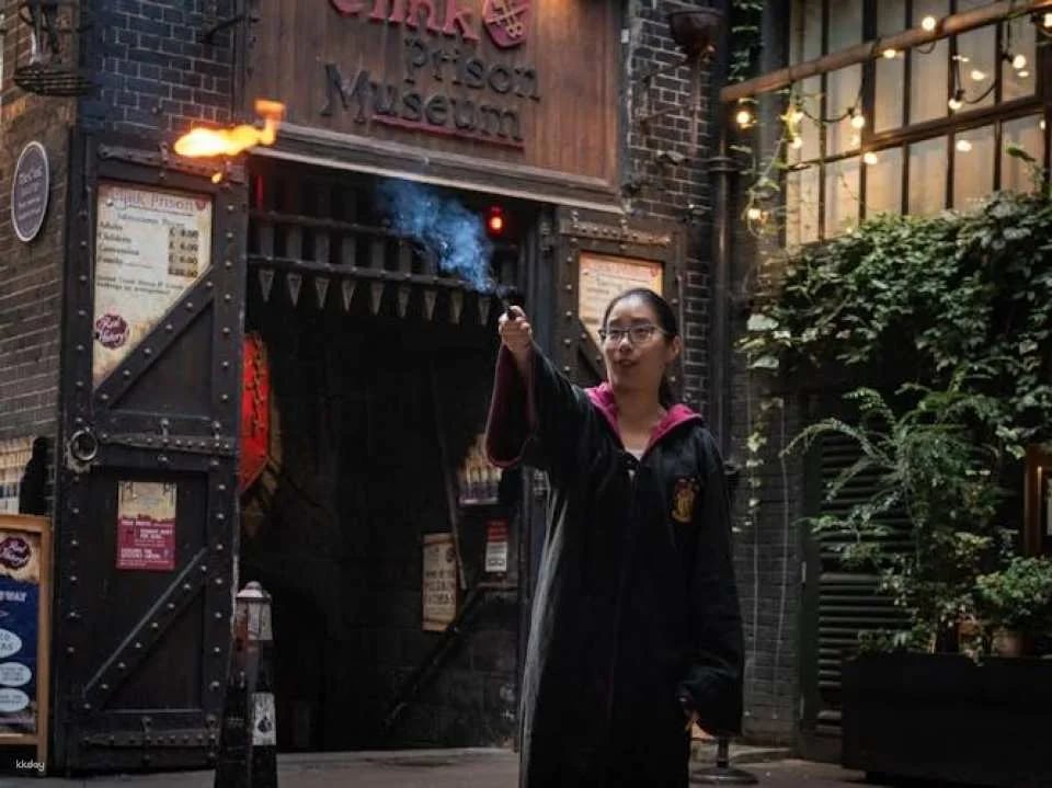 Harry Potter Guided Walking Tour with London Dungeons Tickets