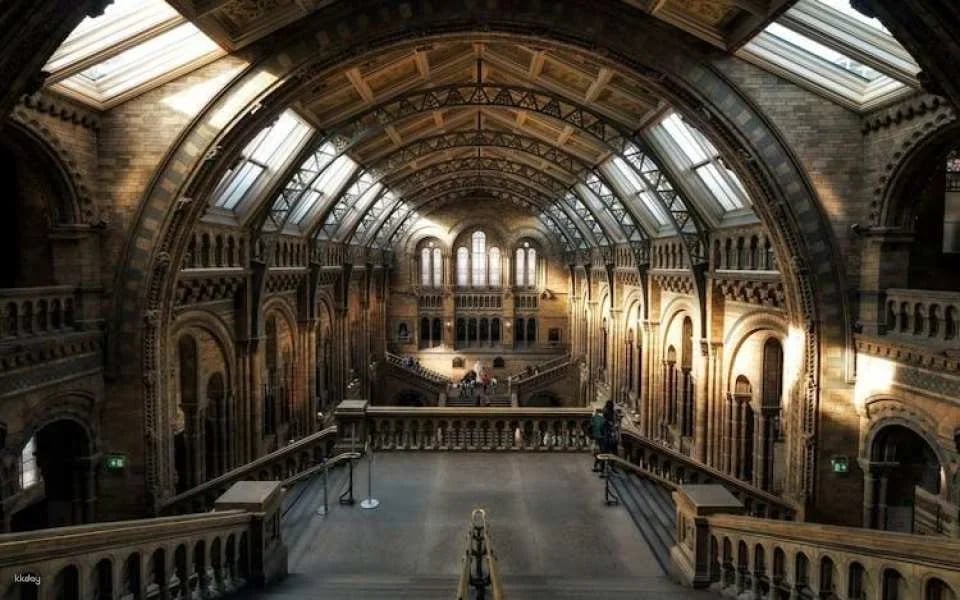 London Natural History Museum Ticket and In-App Audio Tour in Spanish