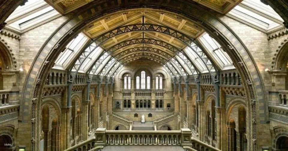 Natural History Museum of London guided tour