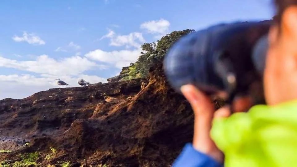 3-hour tour of Vila Franca do Campo's protected nature reserve