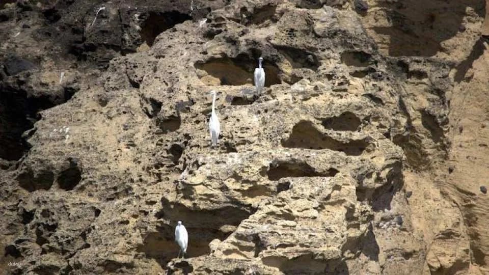 3-hour tour of Vila Franca do Campo's protected nature reserve