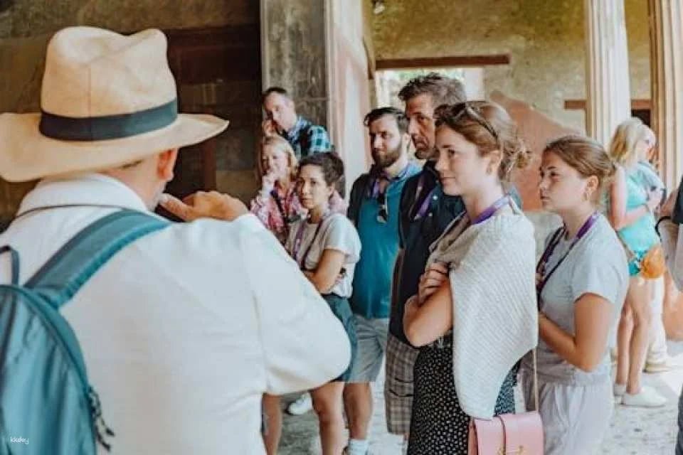 Pompeii and Herculaneum Small Group Tour from Sorrento (602406)