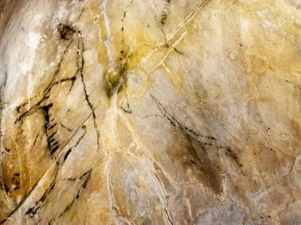 El Castillo caves and Paleolithic art day trip from Santander