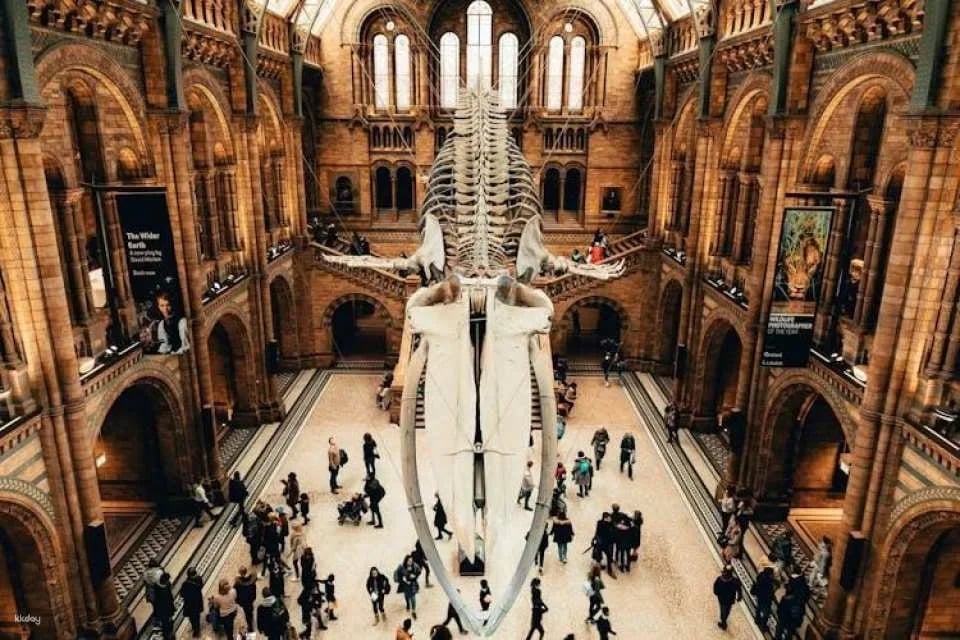 London Natural History Museum Ticket and In-App Audio Tour in Italian