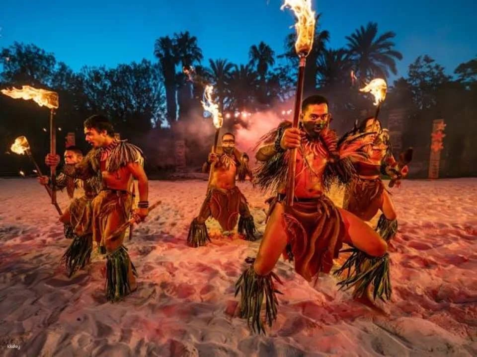 Caribe Aquatic Park by day and PortAventura Park by night 1-day combo