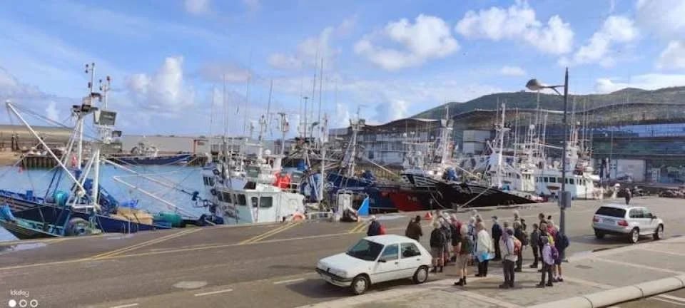 Half-Day Santoña and Anchovy Cannery Guided Tour with Boat Trip