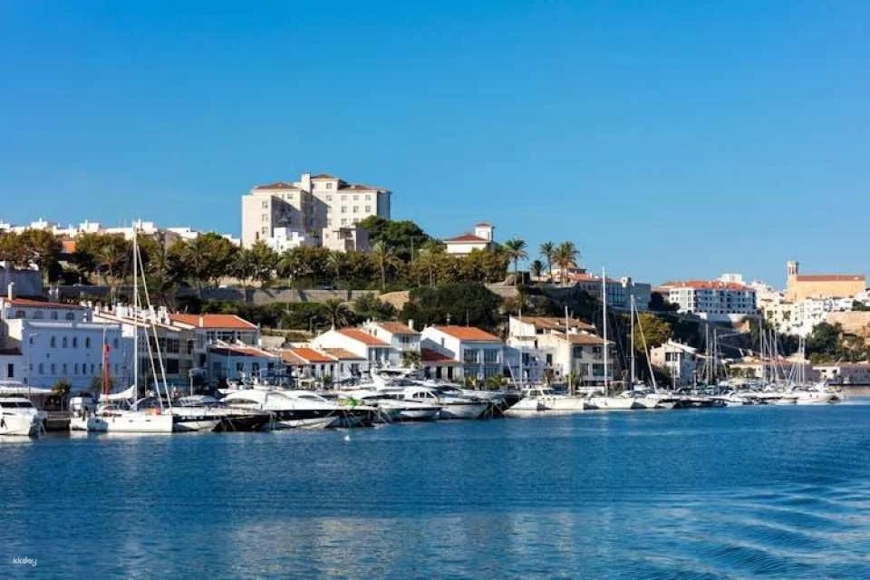 Mahon Harbour glass-bottom boat tour