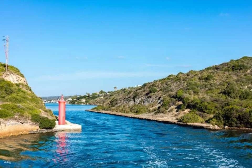 Mahon Harbour glass-bottom boat tour