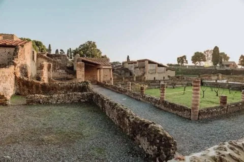 Herculaneum archaeological site access with audio guide (603193)