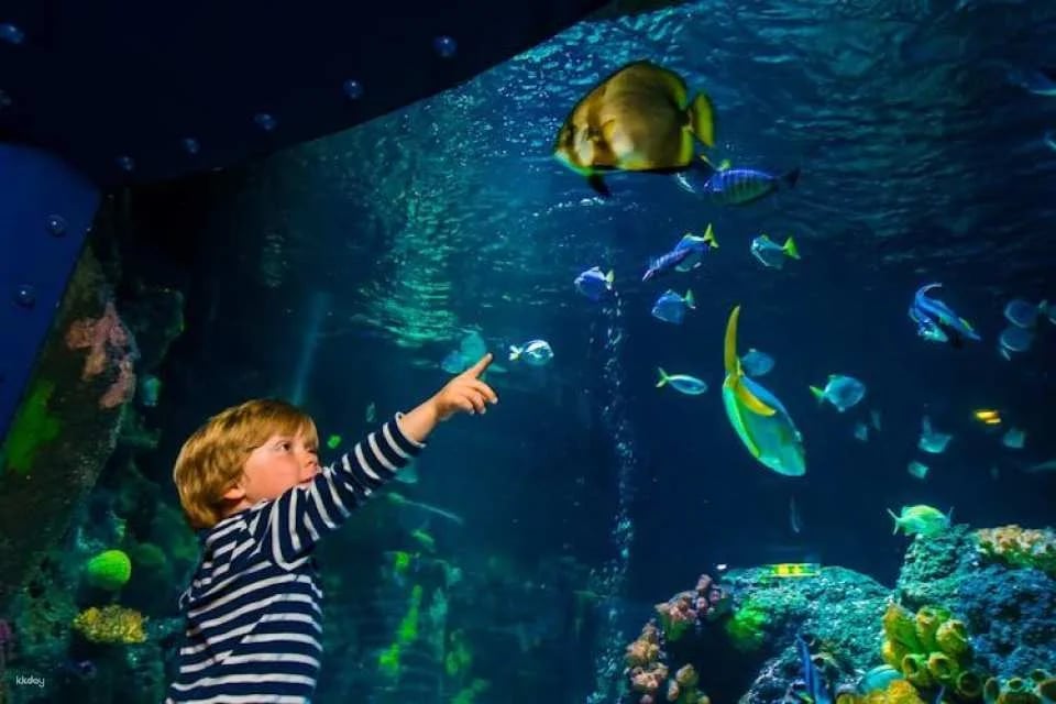 Entrance tickets to discover Speyer Sea Life aquarium