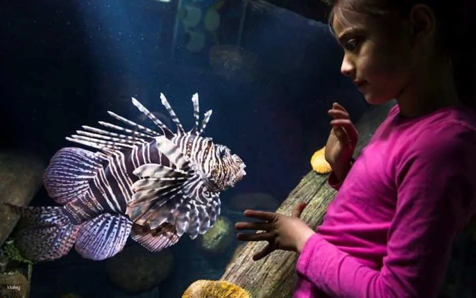 Entrance tickets to discover Speyer Sea Life aquarium