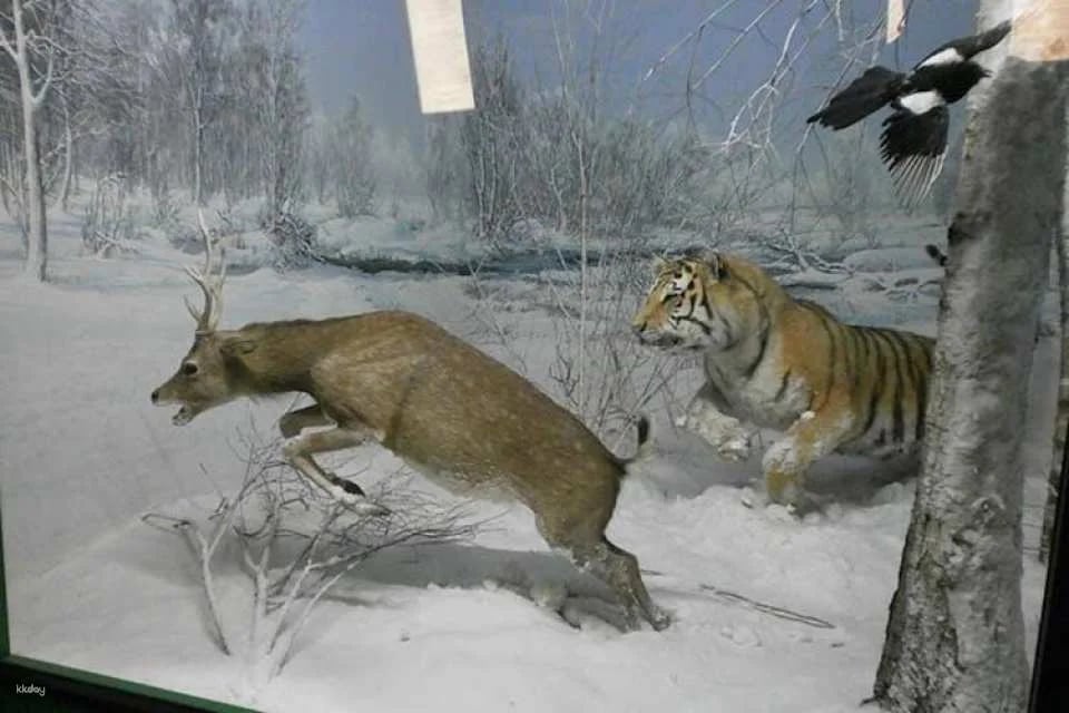 Milan Natural History Museum entry ticket with audio guide