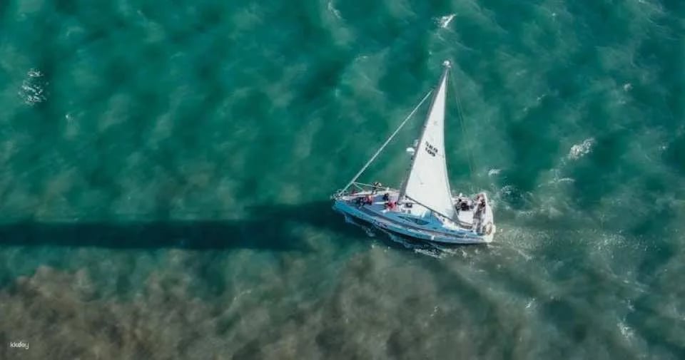 Tagus River private boat tour