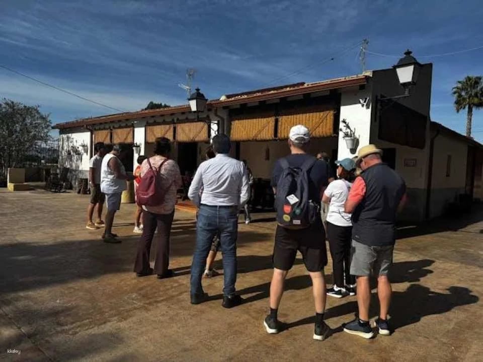 Wine tasting and tapas guided tour from Alicante