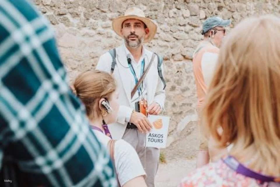 Pompeii and Herculaneum Small-Group Tour From Rome (603936)