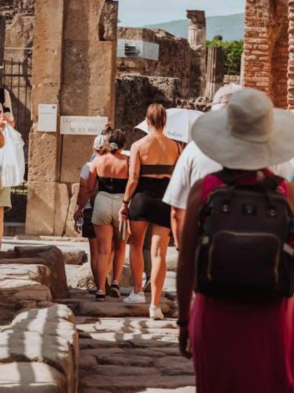 Pompeii and Herculaneum Small-Group Tour From Rome