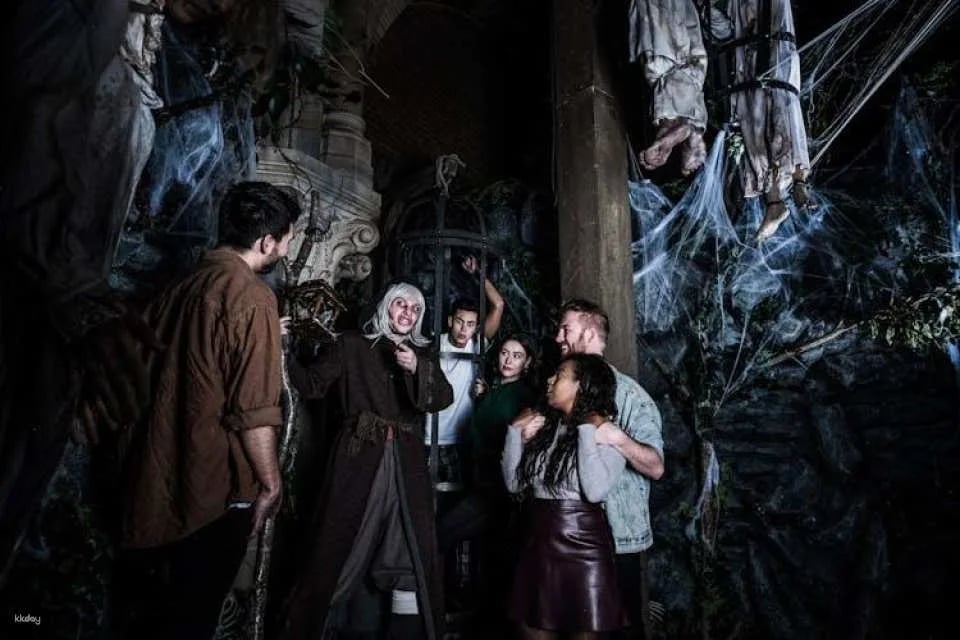 Amsterdam Dungeon entrance ticket