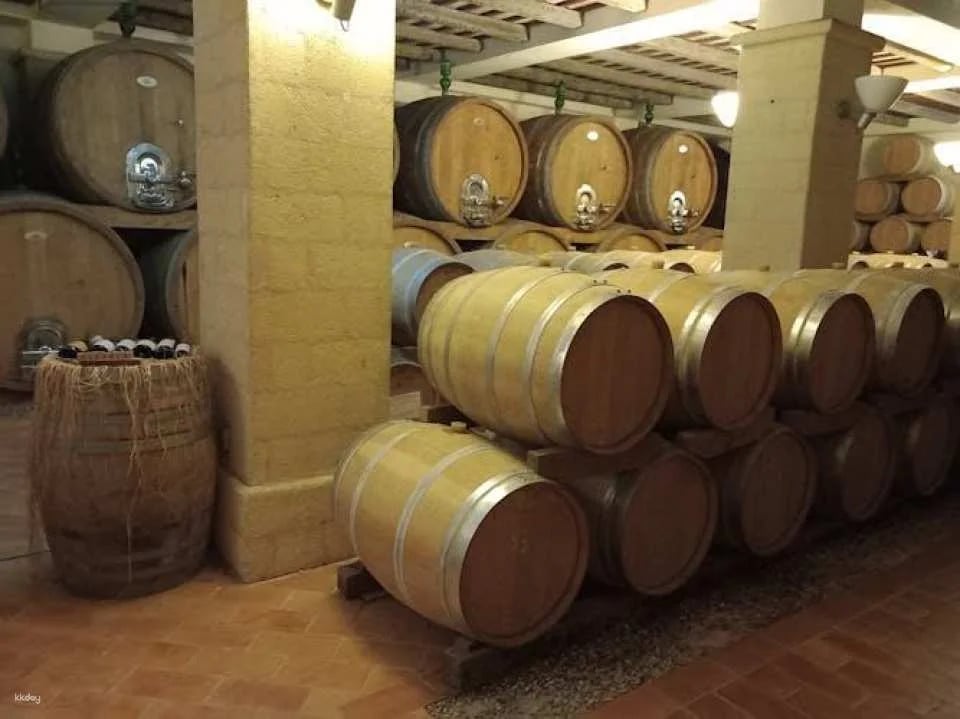 Erice and Marsala full-day tour from Palermo with lunch