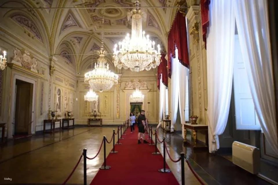 Pitti Palace entrance ticket with eBook