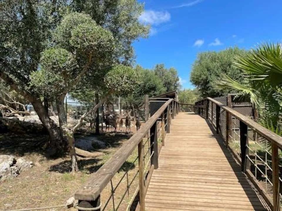 Lloc de Menorca Animal Park Ticket