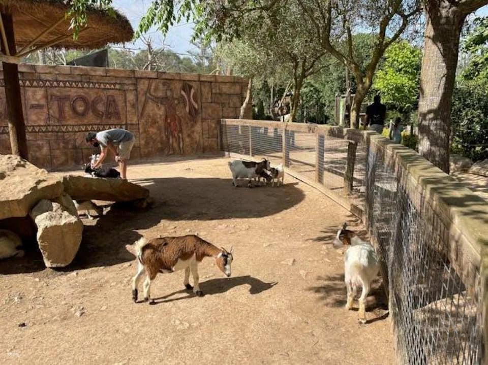 Lloc de Menorca Animal Park Ticket