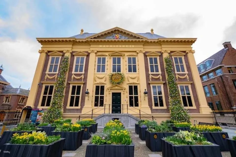 Mauritshuis The Hague entrance ticket