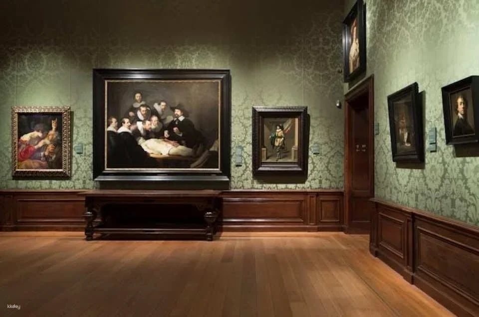 Mauritshuis The Hague entrance ticket