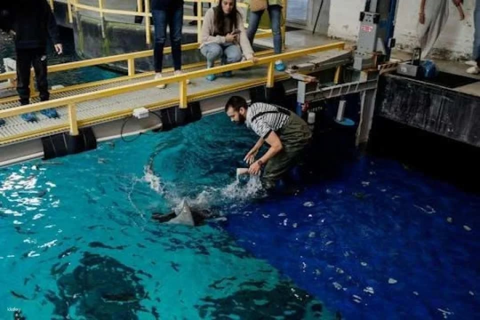 Behind-the-scenes guided tour at Oceanário de Lisboa (605730)