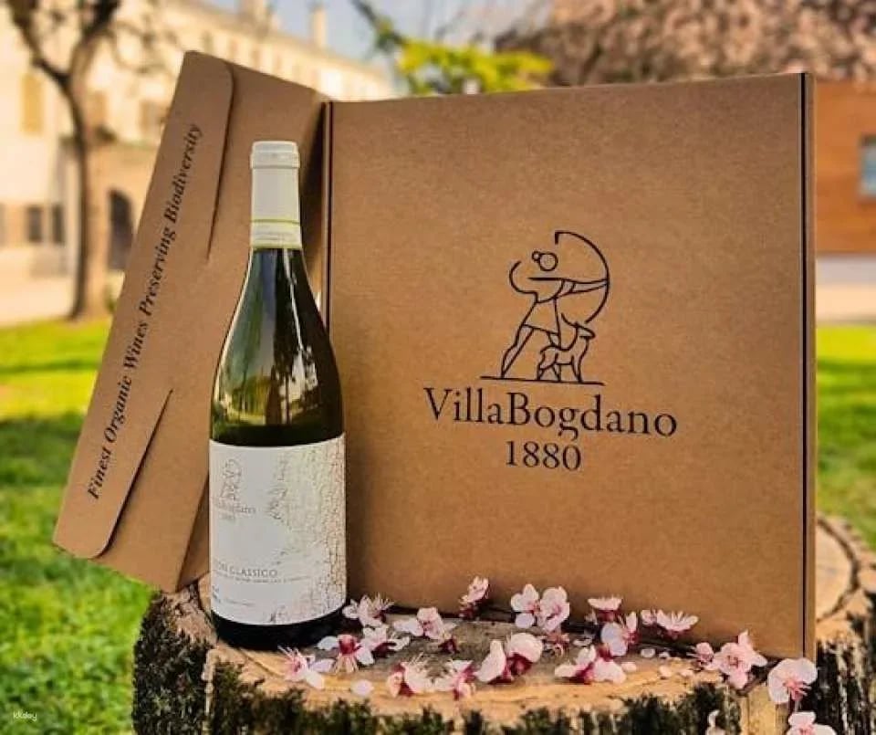 Villa Bogdano 1880 Guided Tour with Wine Tasting (605874)