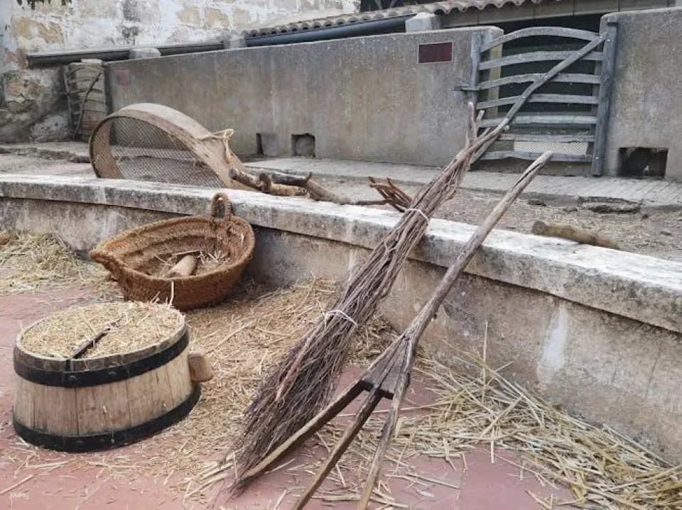 Menorcan historic estate and Natural Science Museum at Binissuès