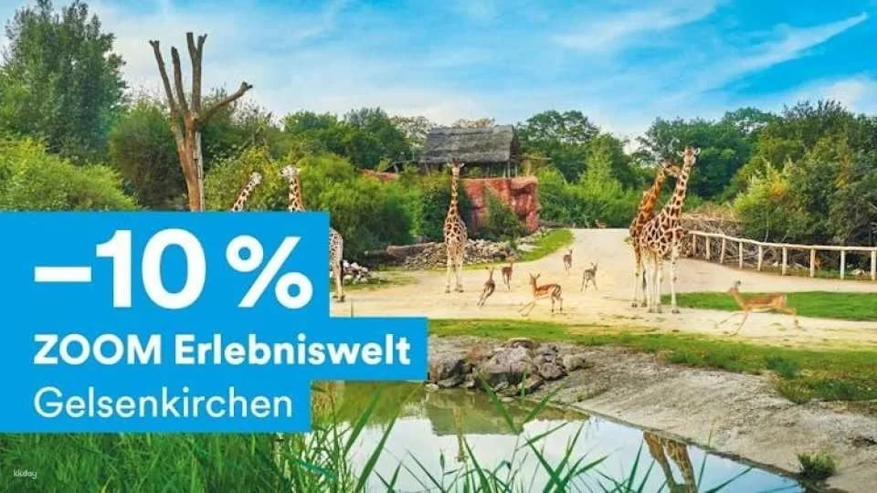 DüsseldorfCard Plus with public transport for 48, 72 or 96 hours