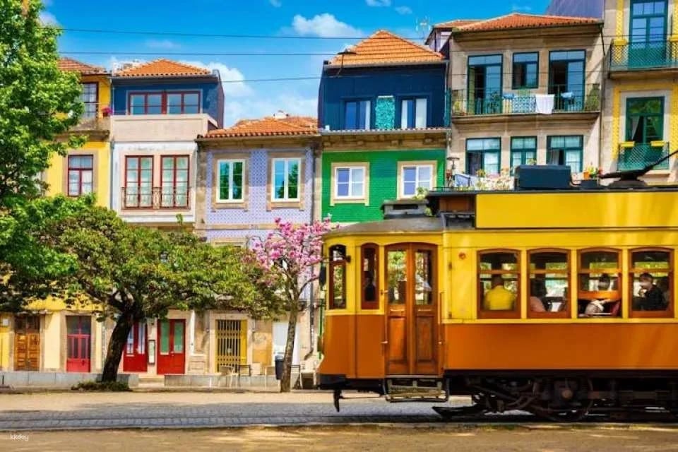 Porto pass for Six Bridges Cruise and city museums