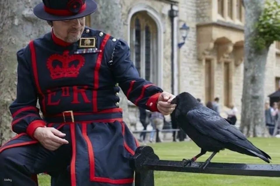 Harry Potter Walking Tour with Thames Cruise and Tower of London