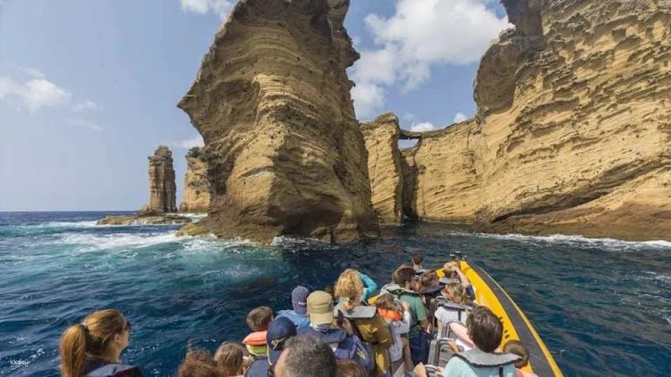 Azores whale watching and Islet boat tour