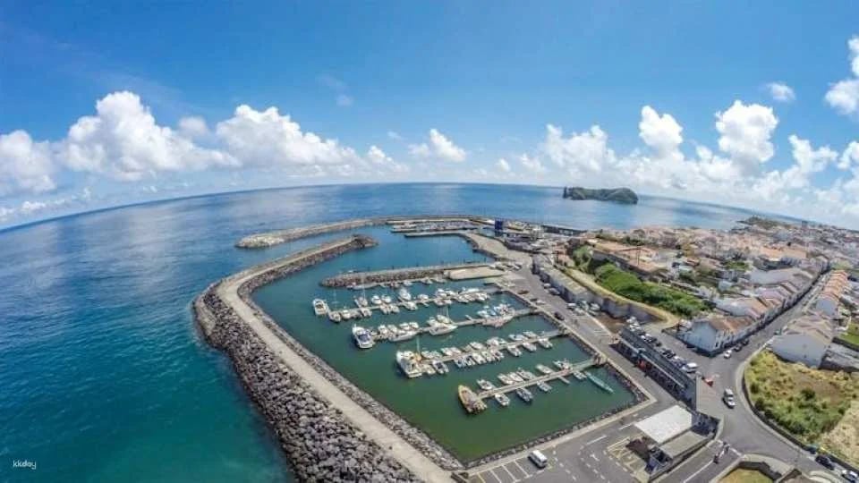 Azores whale watching and Islet boat tour