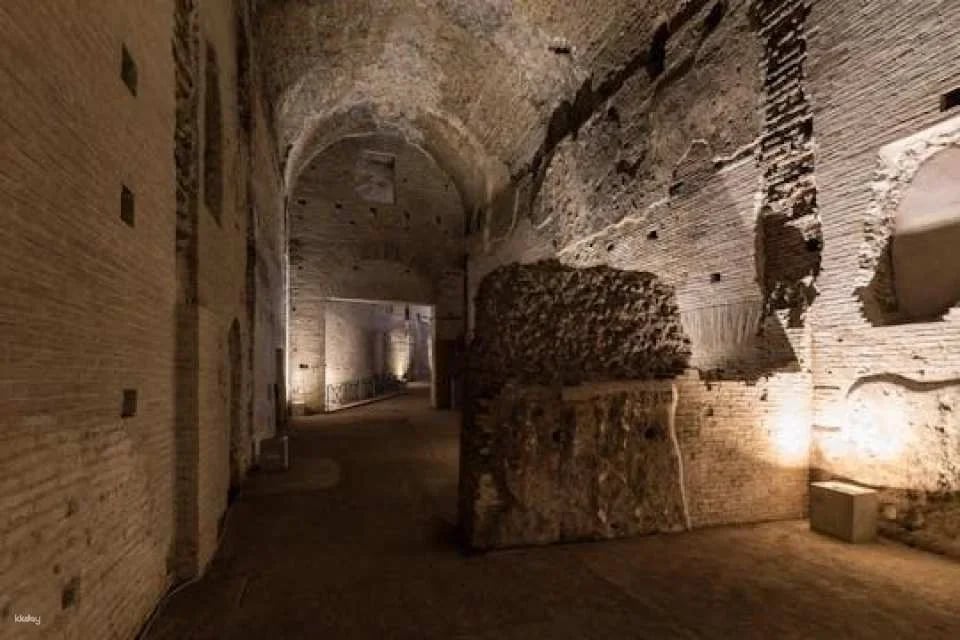 Domus Aurea guided tour (606887)