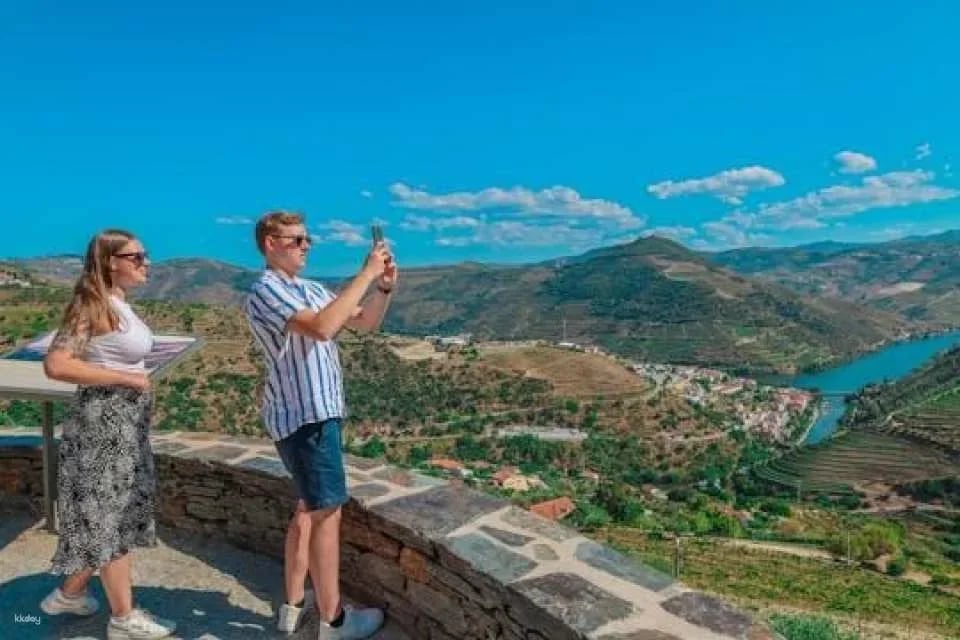 Douro half-day tour with wine, boat trip and viewpoint (607035)