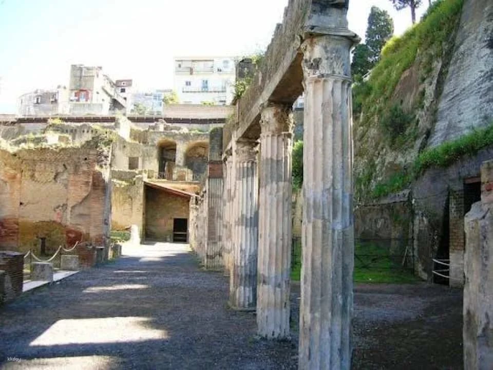 Herculaneum guided tour with an archeologist (607506)