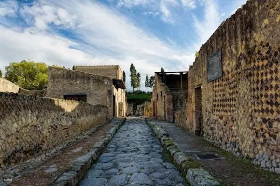 Vesuvius and Herculaneum transfer and entrance tickets from Pompeii (607646)