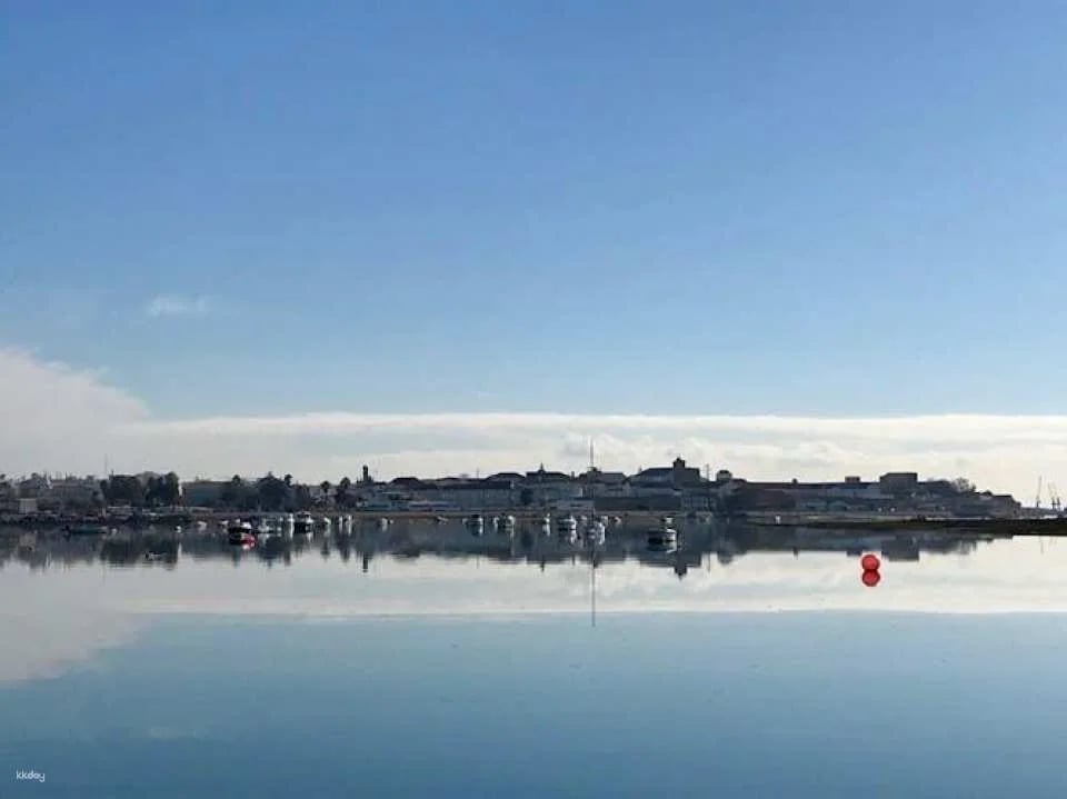 Ria Formosa speed boat tour from Faro