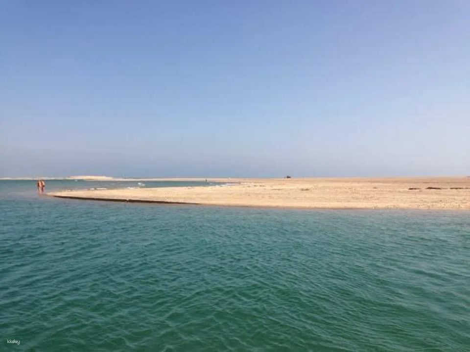 Ria Formosa speed boat tour from Faro