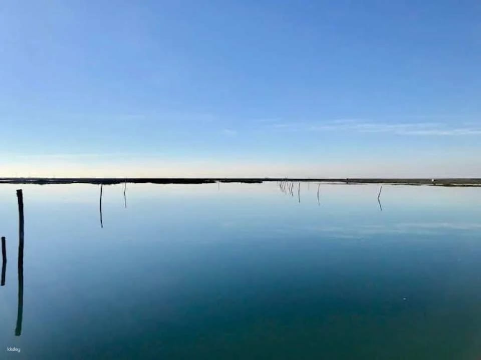 Ria Formosa speed boat tour from Faro