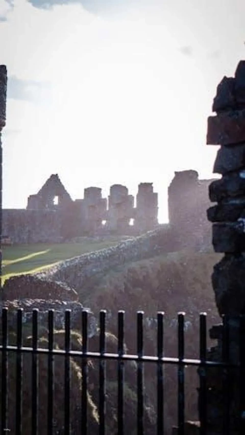Full-Day Giant's Causeway and Game of Thrones Film Locations Tour