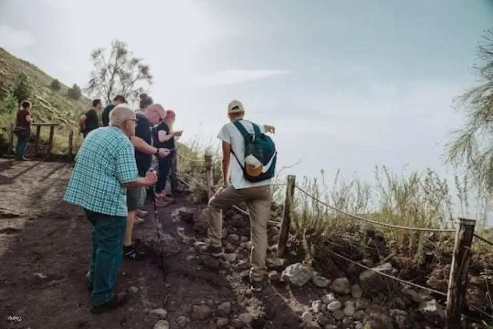Pompeii and Mount Vesuvius Small Group Excursion from Naples (608157)