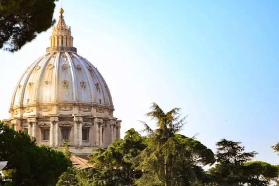 Vatican Museums with St. Peter’s Basilica small group tour (608531)