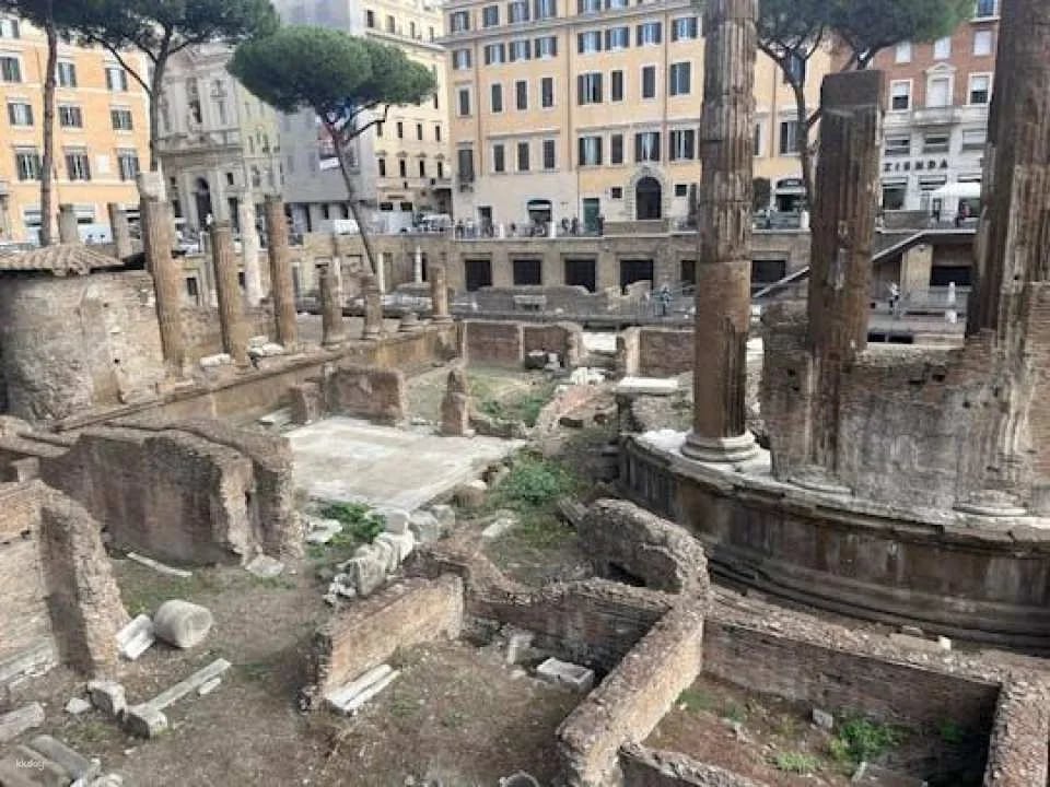 Archaeological Area Largo Argentina Skip-The-Line Tickets (608690)
