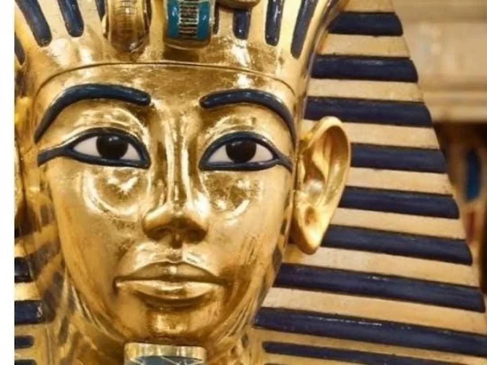 Turin Egyptian Museum entrance tickets (610426)