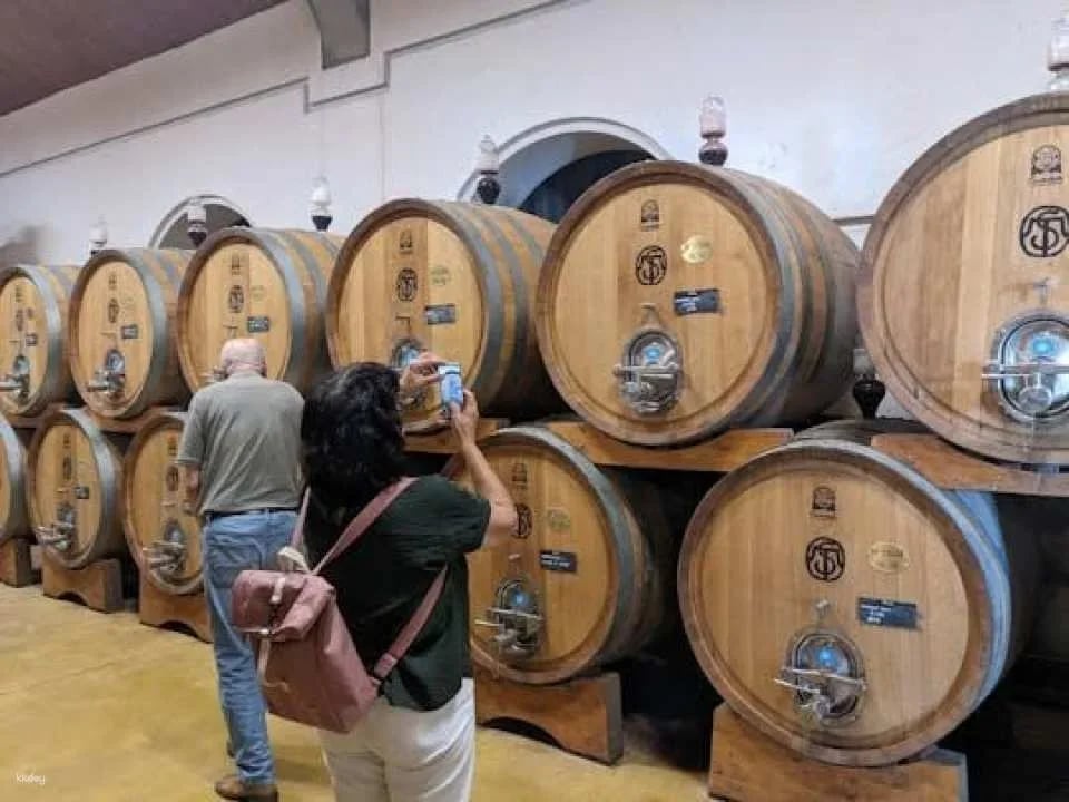 Valpolicella experience, wine and lunch guided tour from Lake Garda (610454)