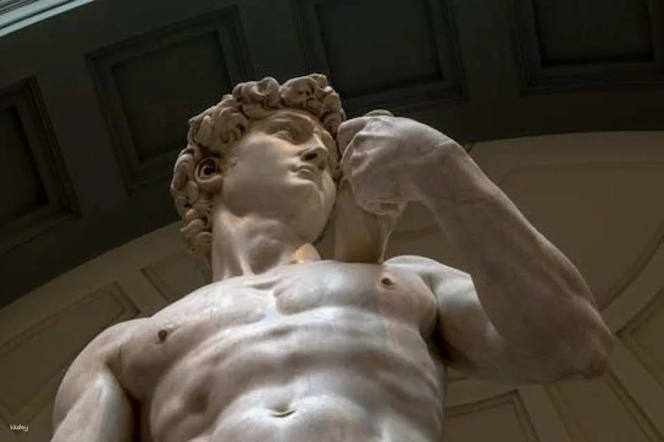 Accademia Gallery skip-the-line ticket with digital audio guide (610517)